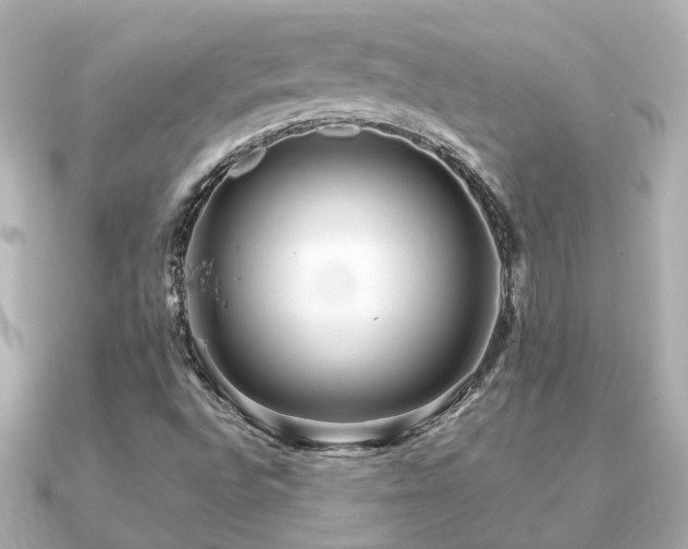 X0000091331496200708101416