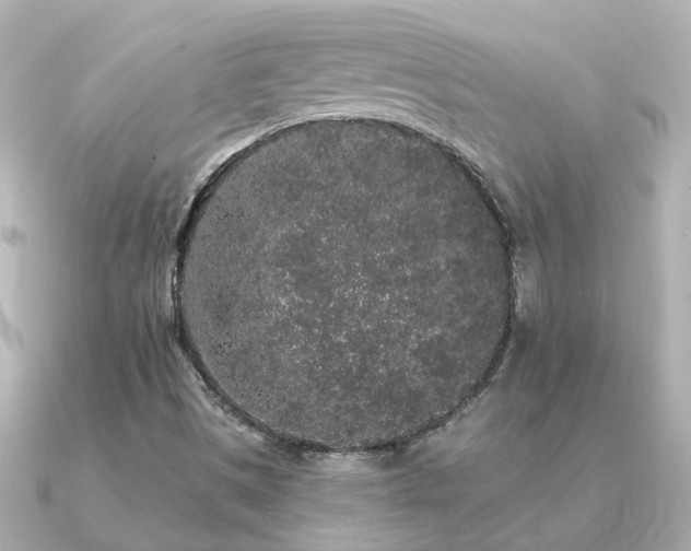 X0000091331497200708101416