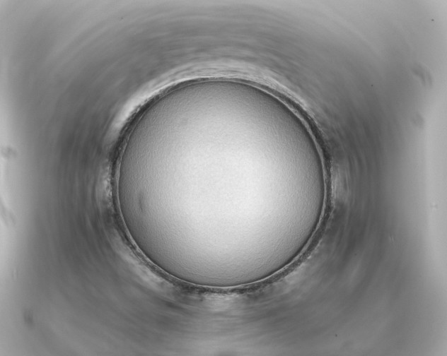 X0000091331498200708101416