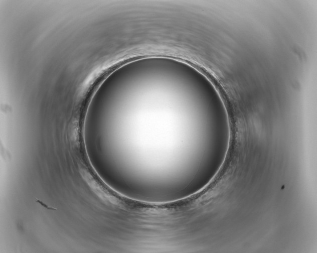 X0000091331499200708101416