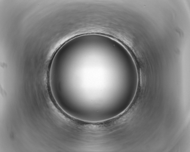X0000091331500200708101416