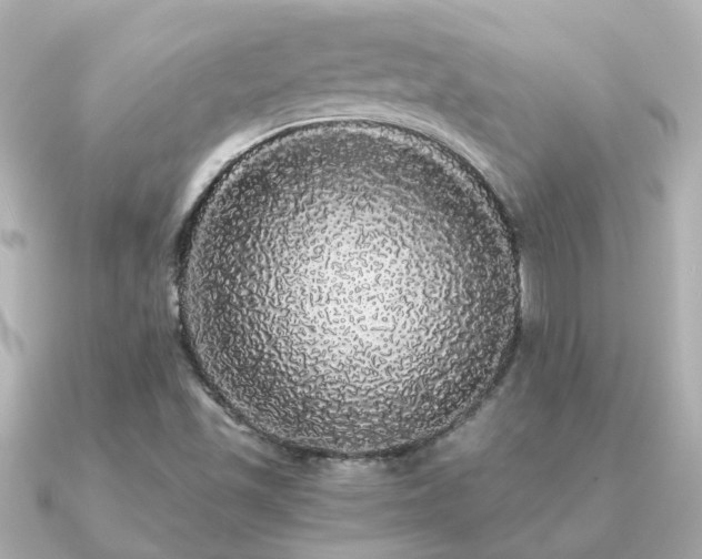 X0000091331501200708101416