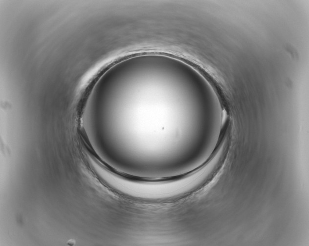 X0000091331502200708101416