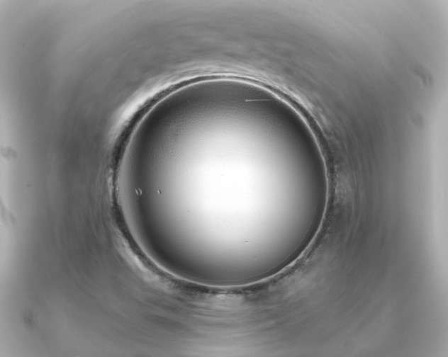 X0000091331503200708101416