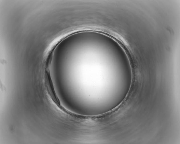 X0000091331504200708101416