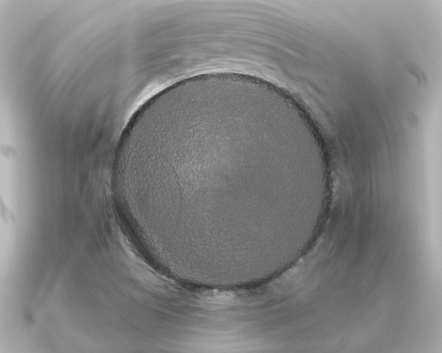 X0000091331505200708101416