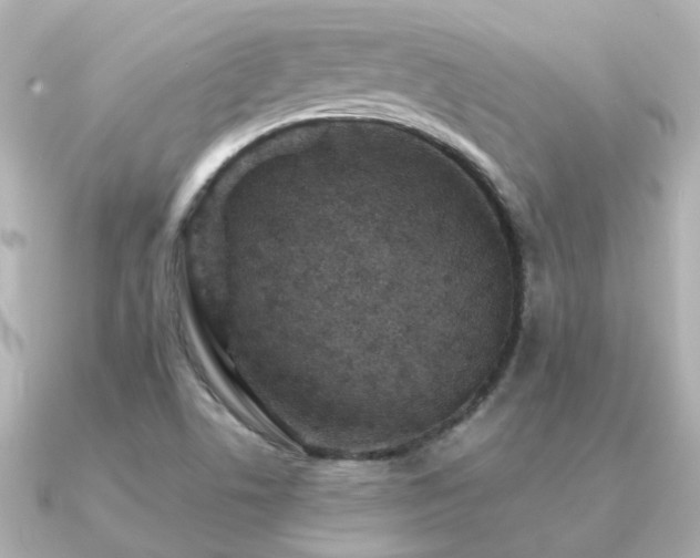 X0000091331506200708101416