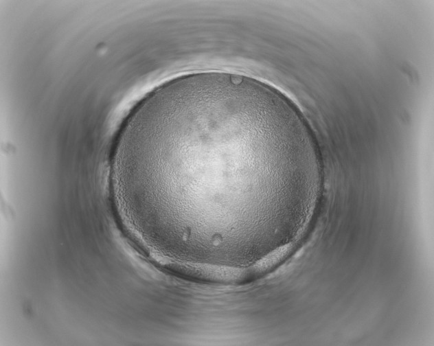 X0000091331507200708101416