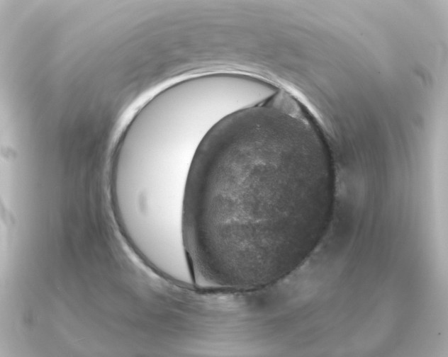 X0000091331508200708101416