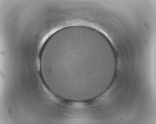 X0000091331509200708101416