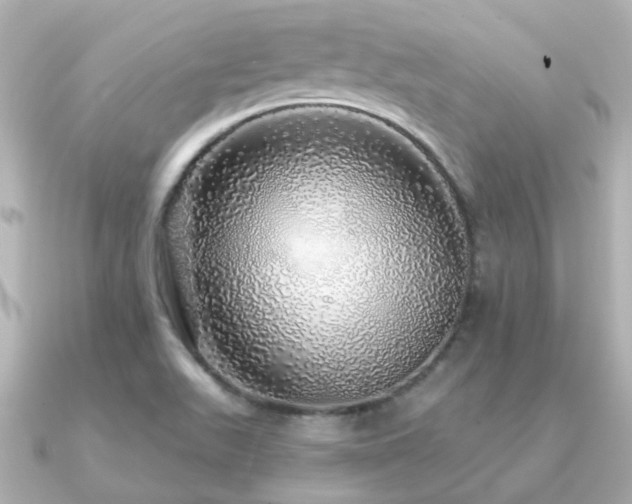 X0000091331511200708101416