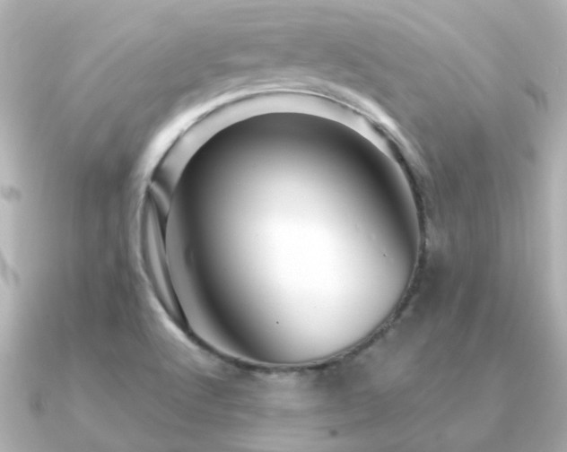 X0000091331512200708101416