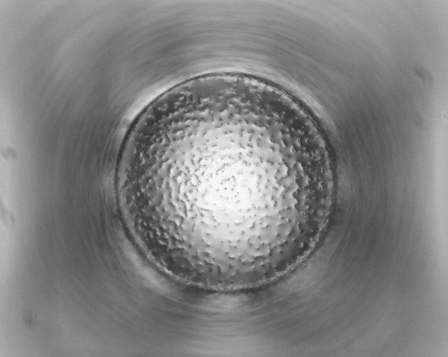 X0000091331513200708101416