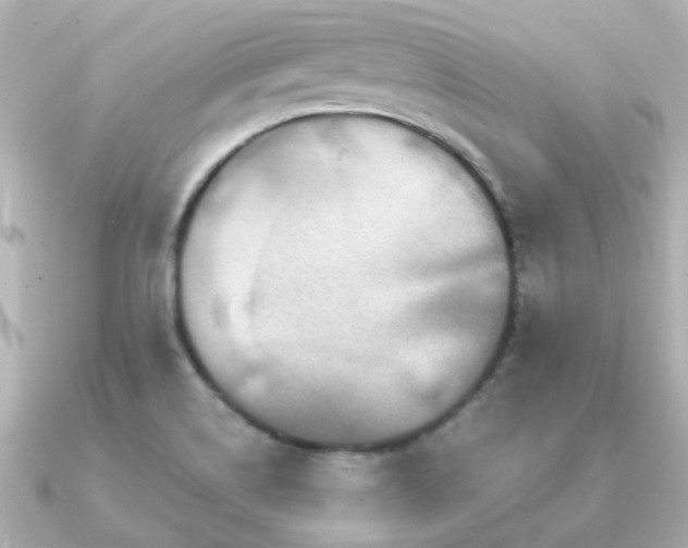 X0000091331514200708101416