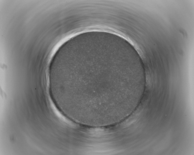 X0000091331515200708101417