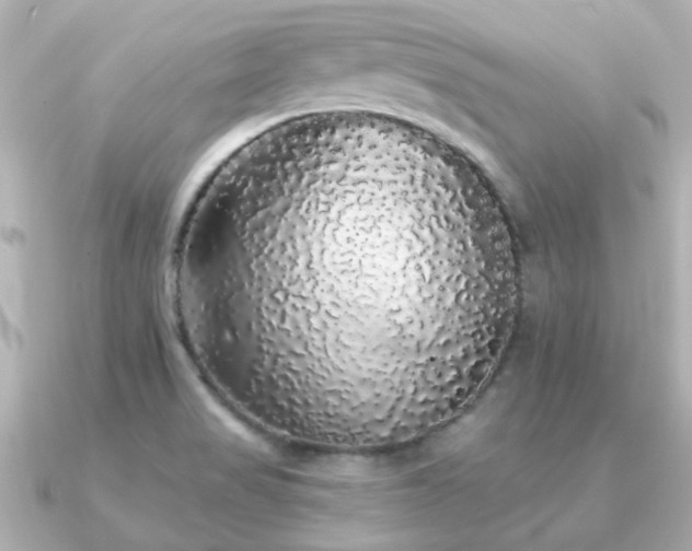 X0000091331517200708101417