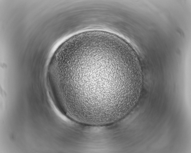 X0000091331519200708101417