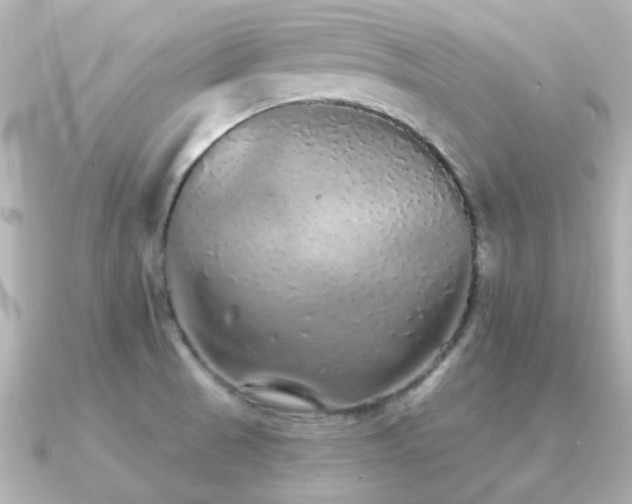 X0000091331521200708101417