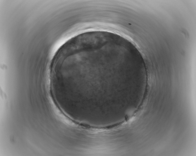 X0000091331522200708101417