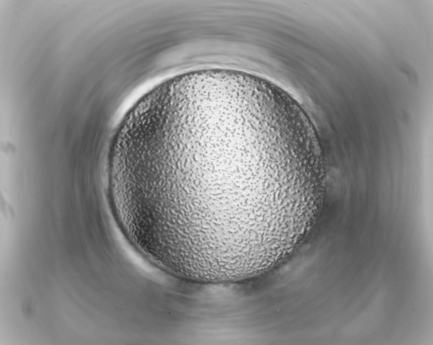 X0000091331523200708101417