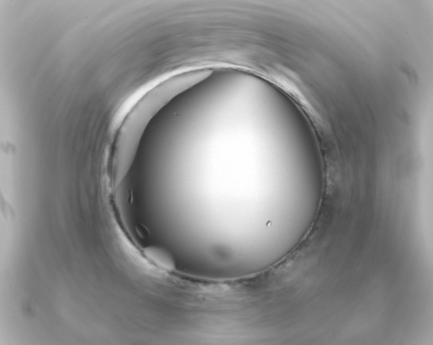 X0000091331524200708101417