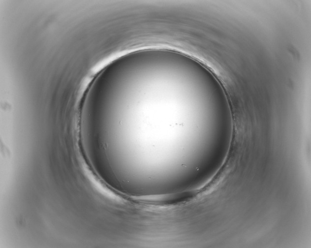 X0000091331526200708101417