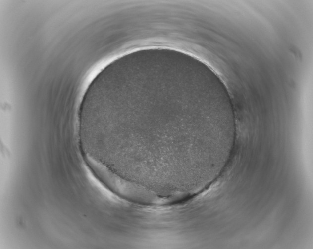 X0000091331527200708101417