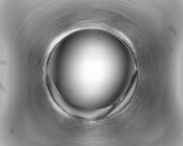 X0000091331528200708101417