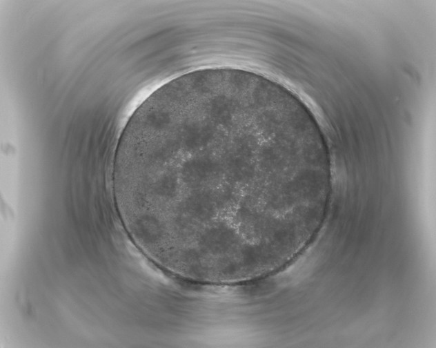 X0000091331529200708101417