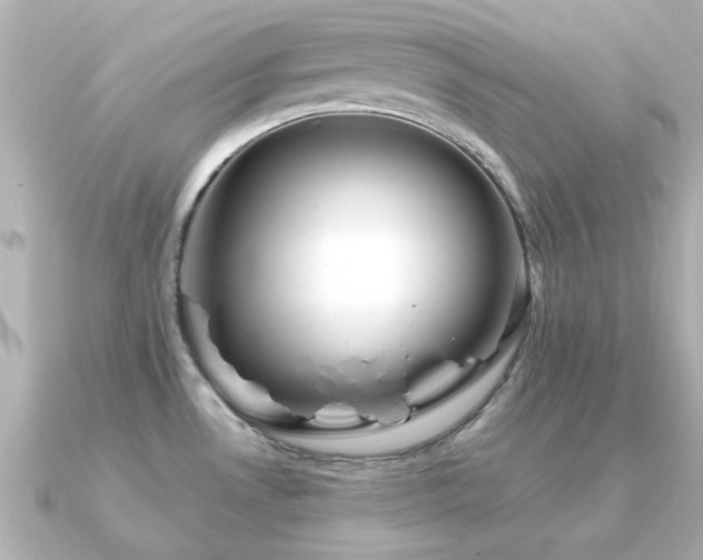 X0000091331530200708101417