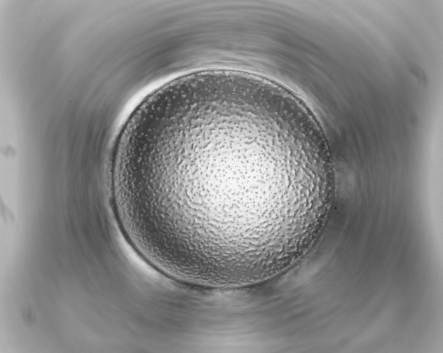X0000091331531200708101417