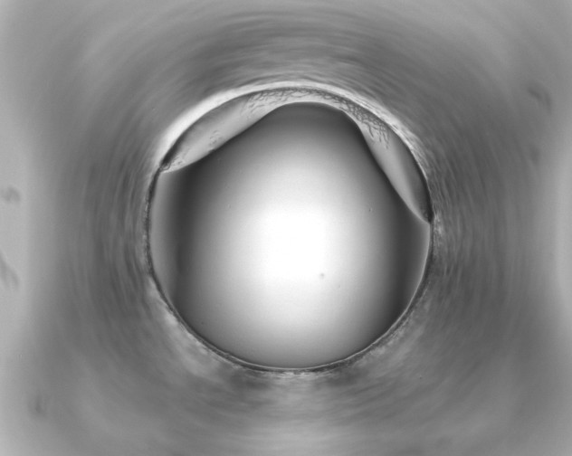 X0000091331534200708101417