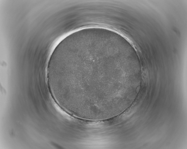 X0000091331535200708101417