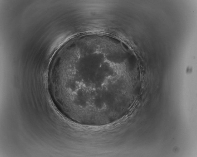 X0000091330002200708171400