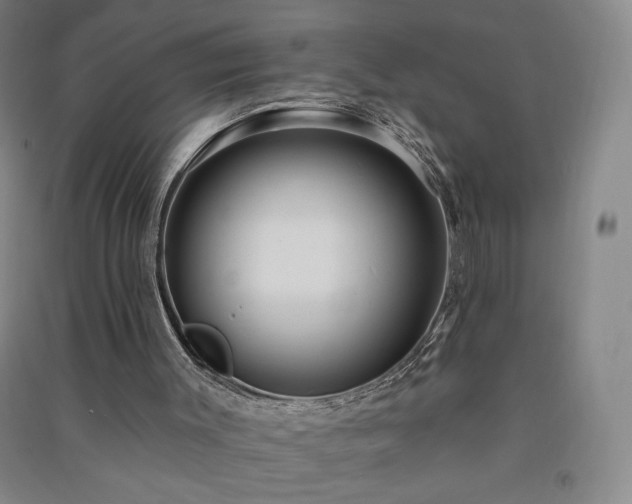 X0000091330003200708171400