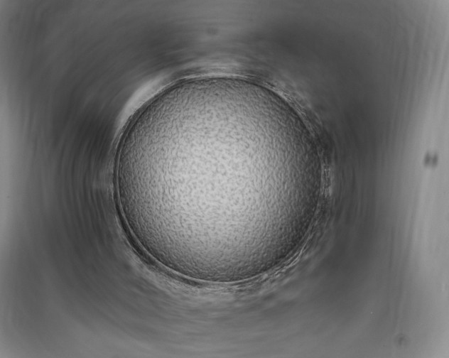 X0000091330004200708171400