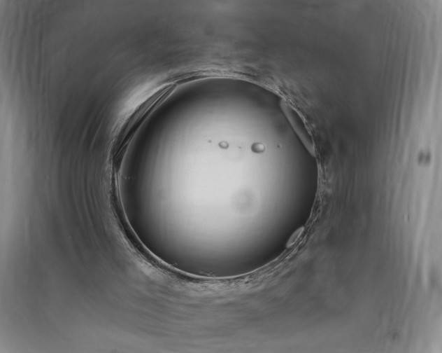 X0000091330005200708171400