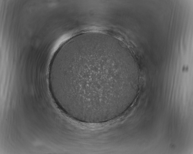 X0000091330006200708171400