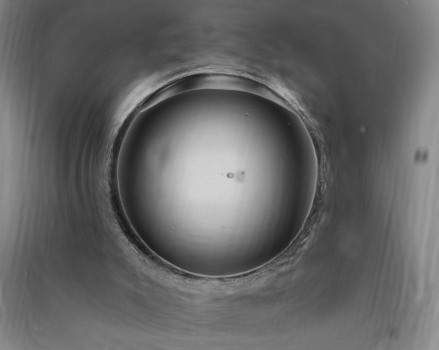 X0000091330007200708171400