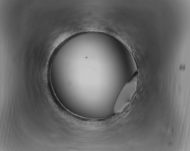 X0000091330008200708171400