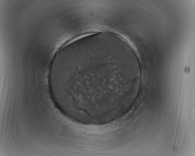 X0000091330010200708171400