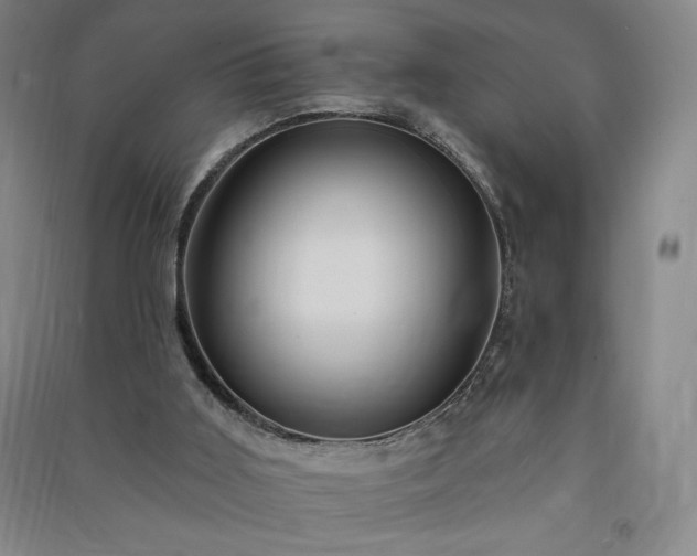 X0000091330011200708171400