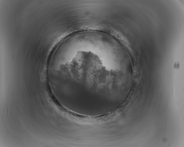 X0000091330012200708171400