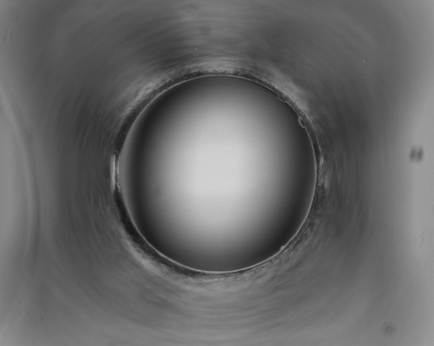 X0000091330013200708171400