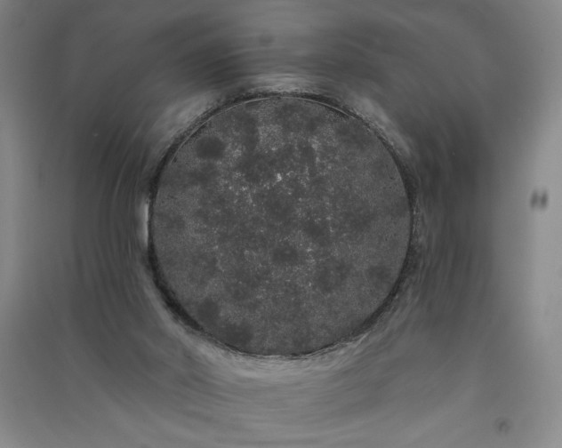 X0000091330014200708171400