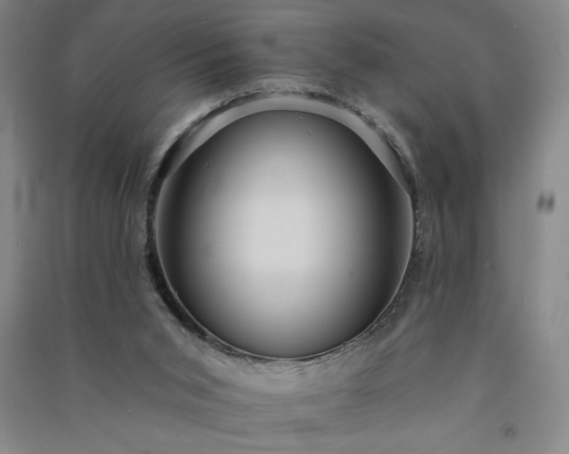 X0000091330015200708171400