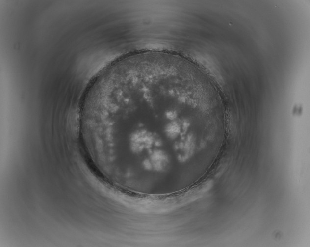 X0000091330016200708171400