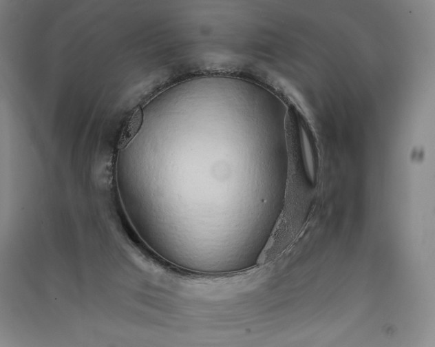 X0000091330017200708171400