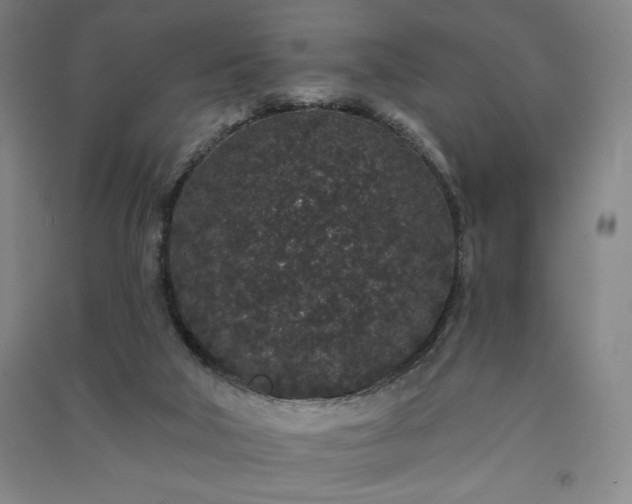 X0000091330018200708171400