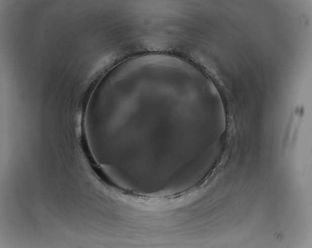 X0000091330019200708171400